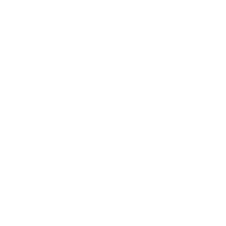 Commission - Visionary